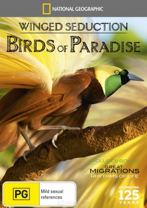 Winged Seduction: Birds of Paradise