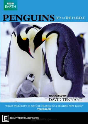 Penguins: Spy in the Huddle