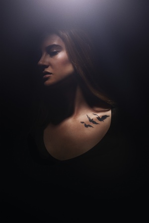 Divergent