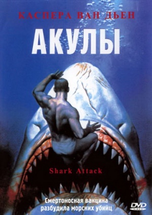 Shark Attack