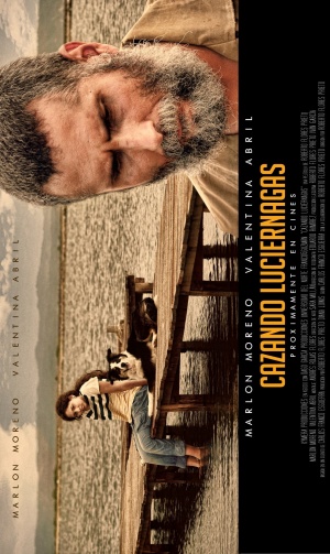 Cazando luciérnagas