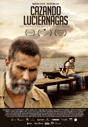 Cazando luciérnagas