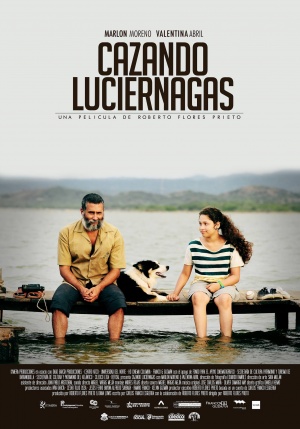 Cazando luciérnagas