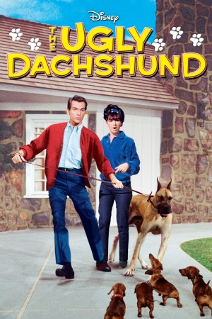 The Ugly Dachshund