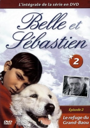 DVD
