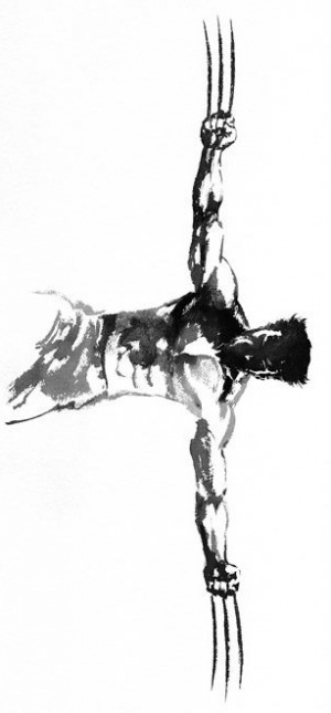 The Wolverine