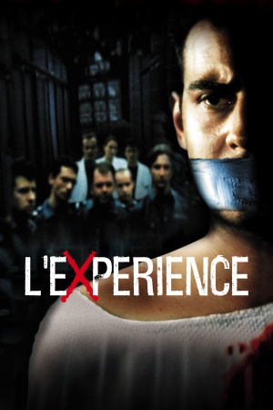 Das Experiment