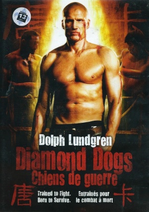DVD