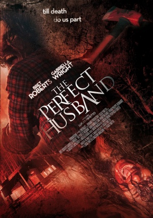 The Perfect Husband