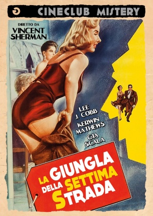DVD