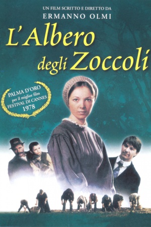L'albero degli zoccoli