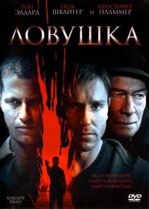 DVD
