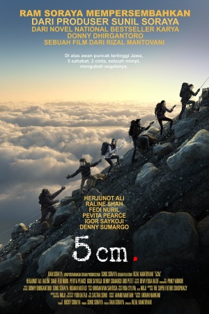 5 cm