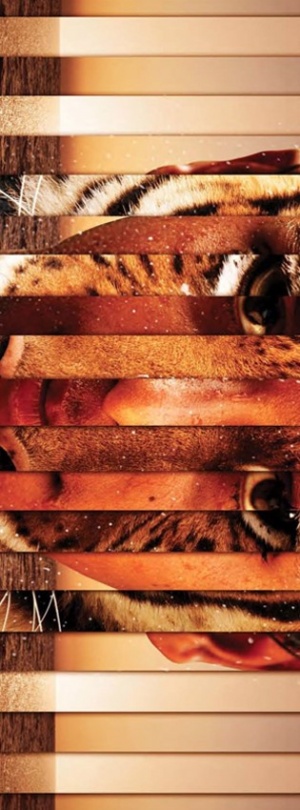 Life of Pi