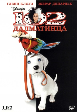 DVD