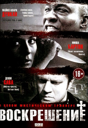 DVD
