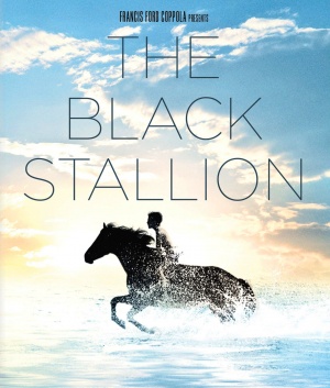 The Black Stallion