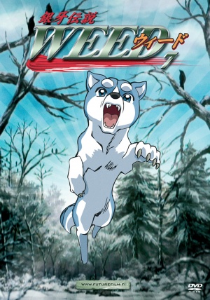 DVD