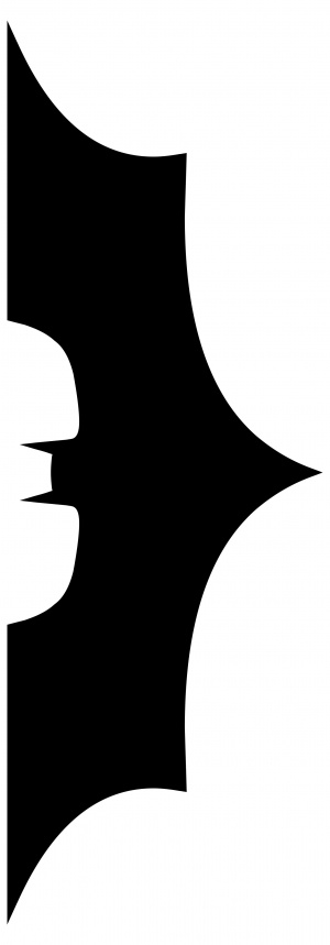 Batman Begins