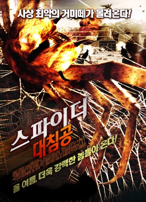 Camel Spiders