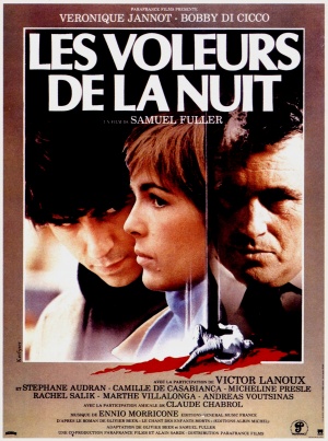 Les voleurs de la nuit