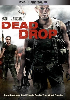 DVD