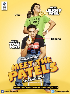 Solid Patels