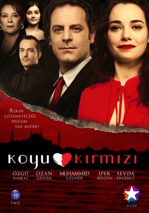 Koyu Kirmi