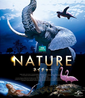 Blu-Ray