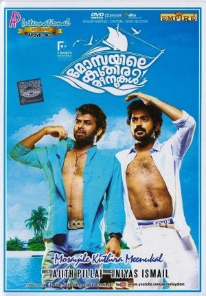 DVD
