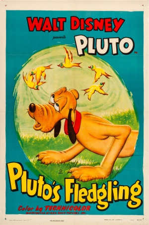 Pluto's Fledgling