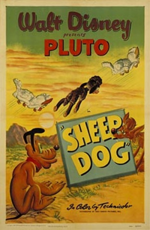 Sheep Dog