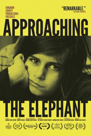 Approaching the Elephant