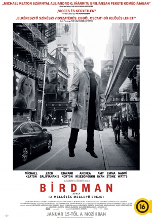 Birdman or (The Unexpected Virtue of Ignorance)