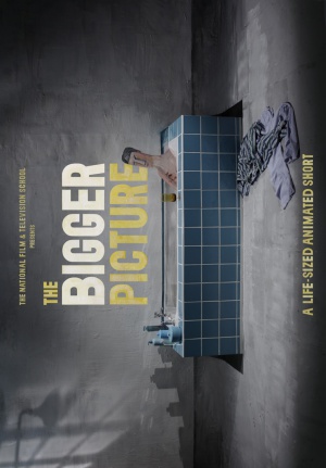 The Bigger Picture