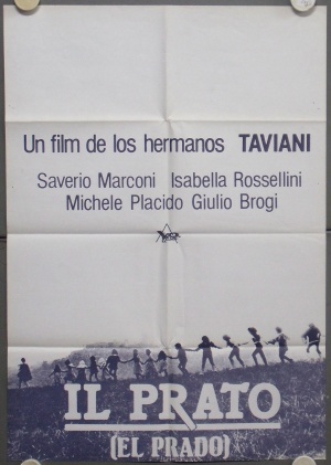 Il prato