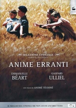 DVD