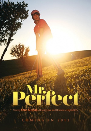 Mr. Perfec