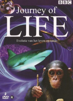 Journey of Life