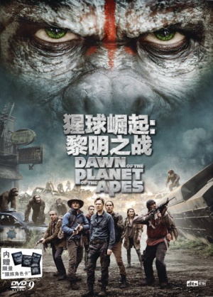 DVD