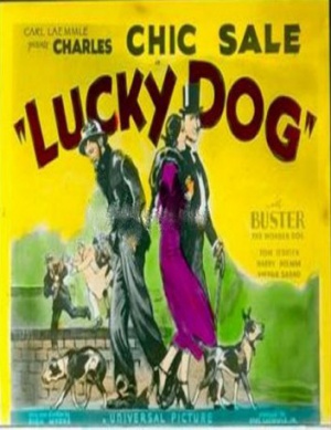 Lucky Dog