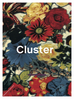 Cluster