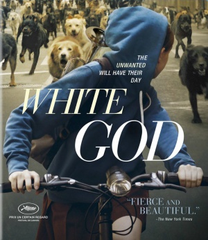 Blu-Ray