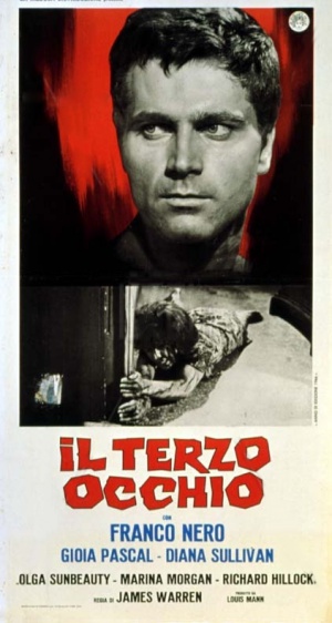 Il terzo occhio