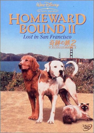 Homeward Bound II: Lost in San Francisco