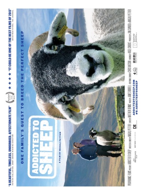 Addicted to Sheep
