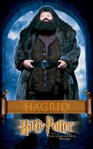 Harry Potter and the Sorcerer's Stone