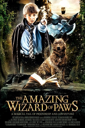 The Amazing Wizard of Paws