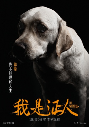 Wo shi zheng ren