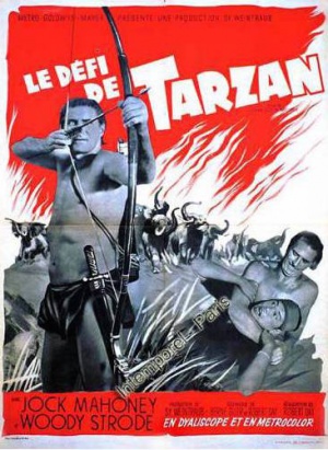 Tarzan's Three Challenges